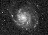 Spiralgalaxie M 101
