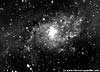 M 33