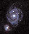 M 51
