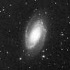 M 81