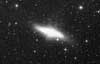 M 82